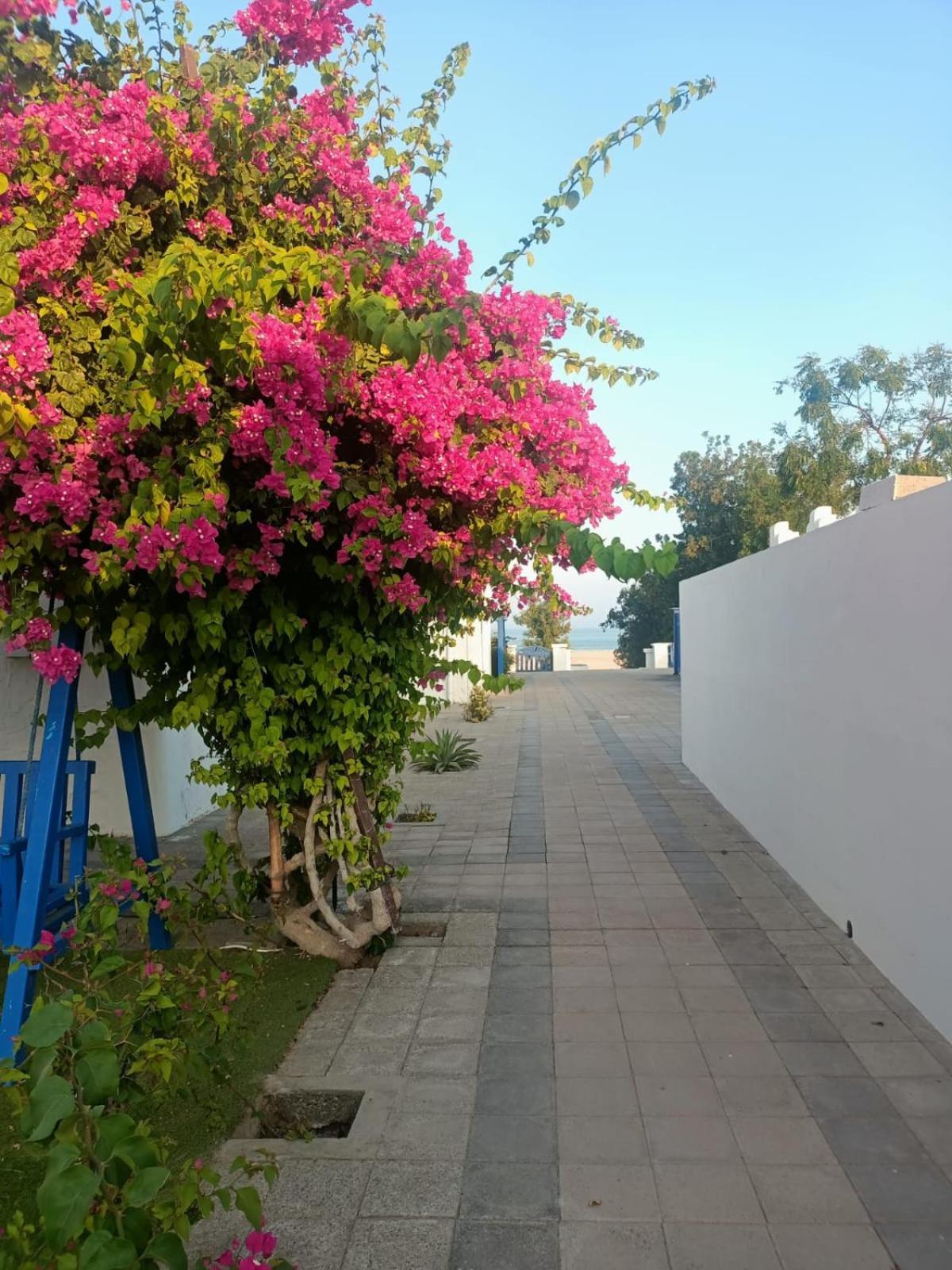 Al-Ashkhara Beach Resort منتجع شاطئ الأشخرة Al Sharqiyah Екстериор снимка